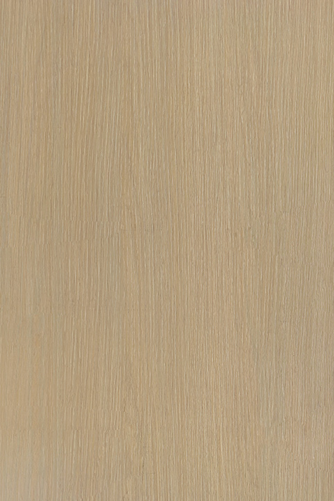 北美榉木